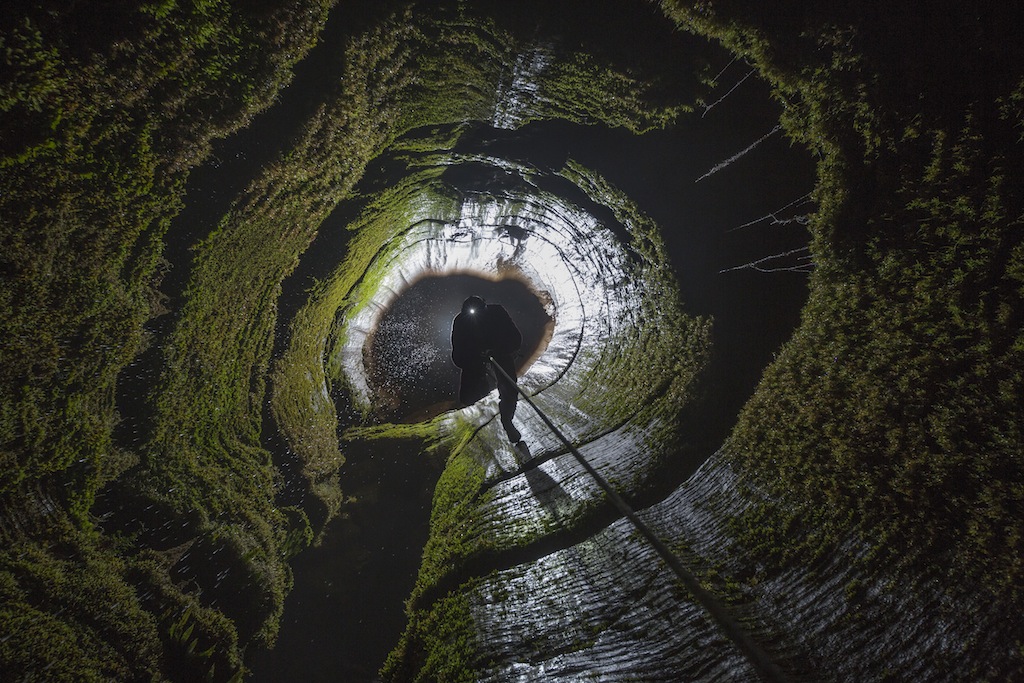 CAVERNS OF THE TANIWHA