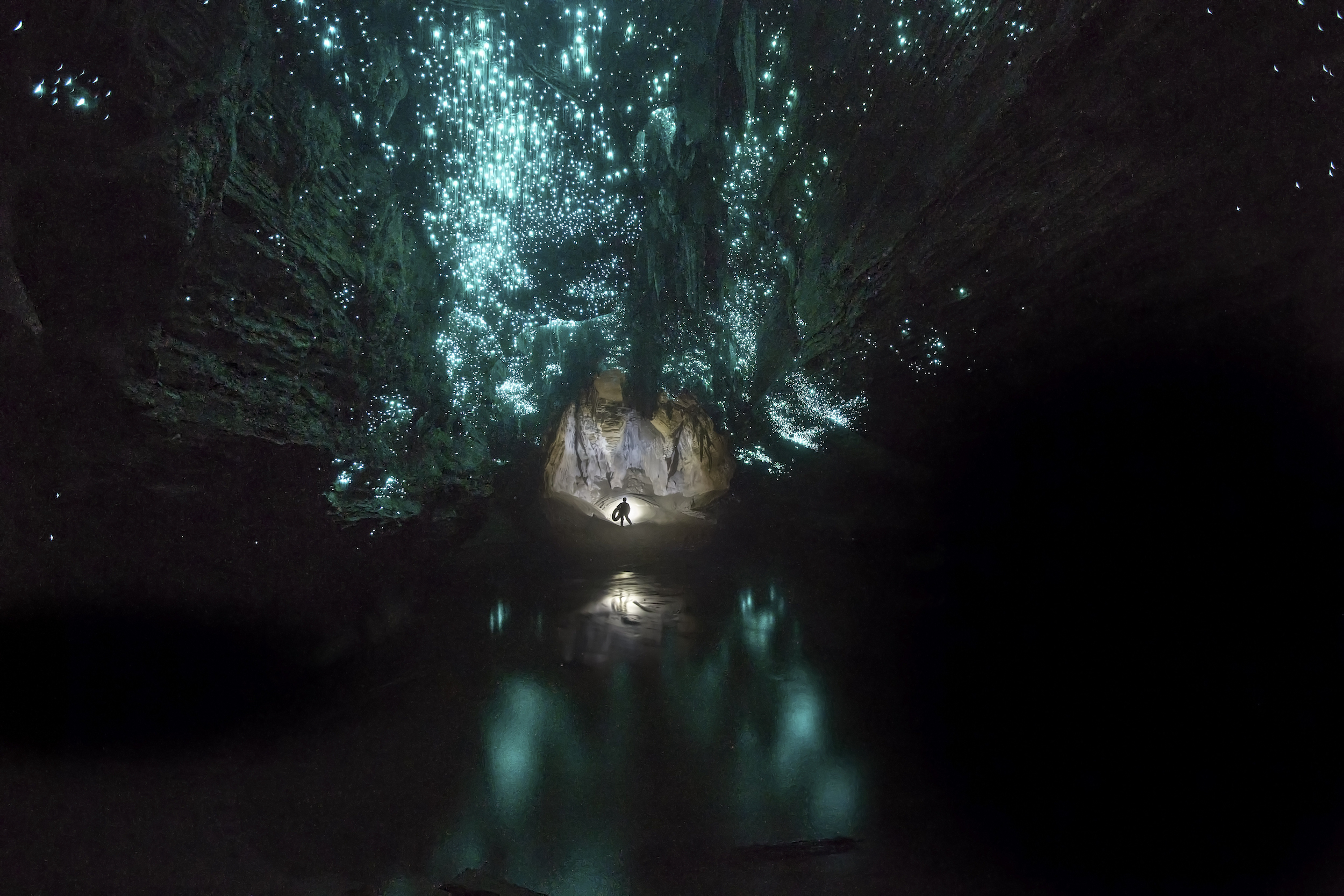GLOWWORMS